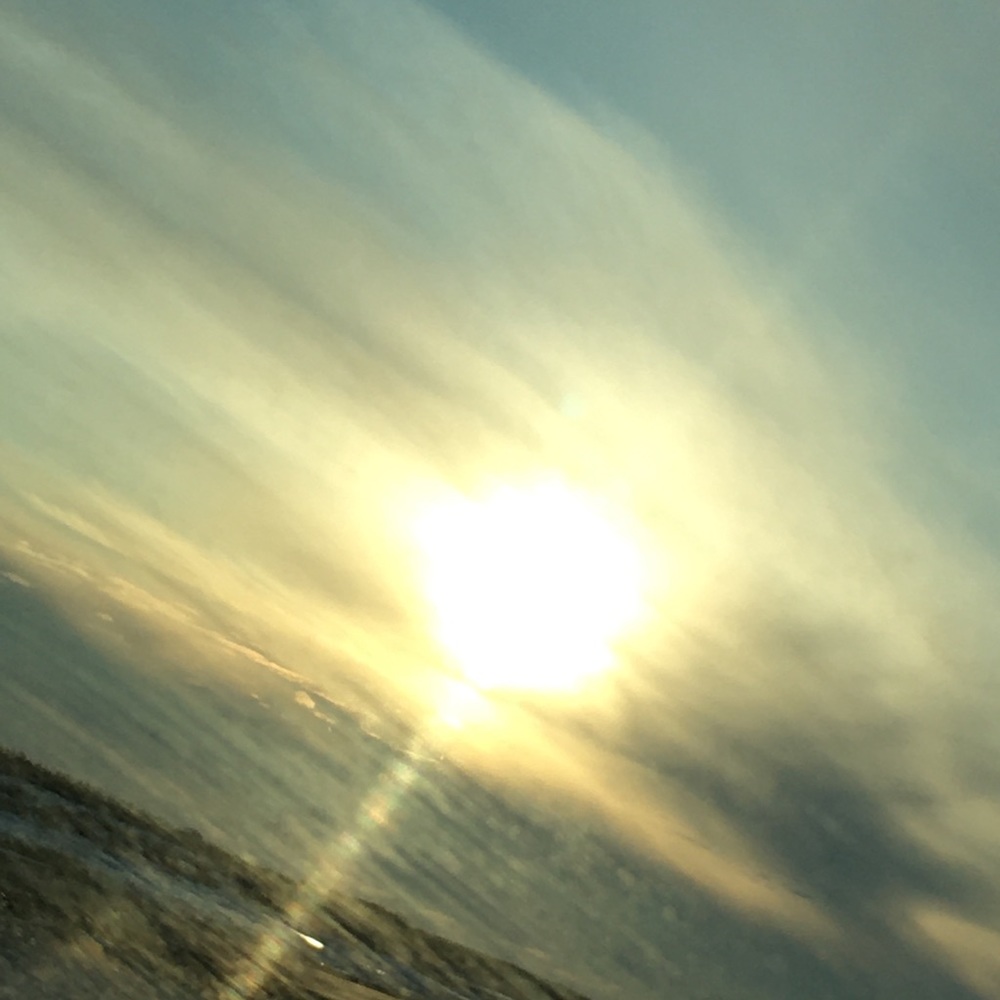 Meet your Posher, Elise